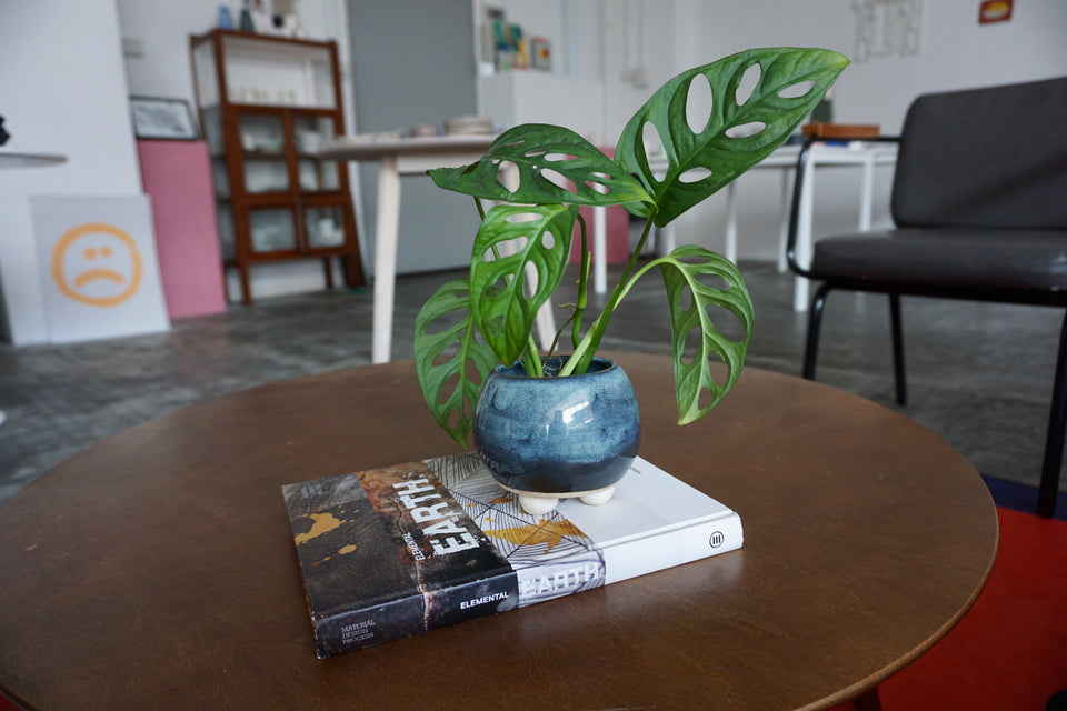 Nine quick fire questions with Jenisse Lau