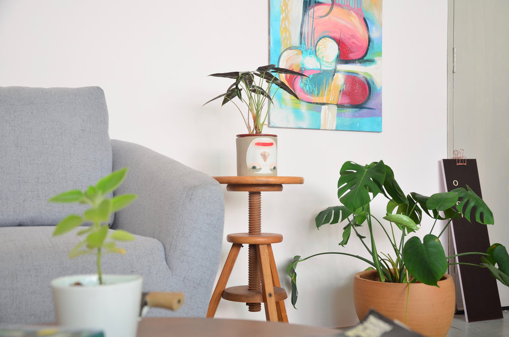Styling your home with plants