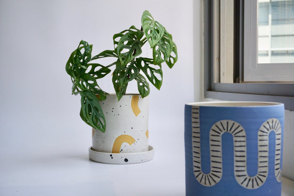 Handmade pottery Made RVA | Ceramic planter singapore