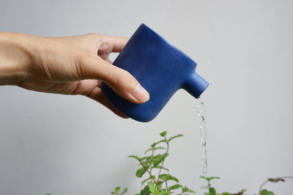 Unique seagull jug Kira Ni Singapore | Handmade