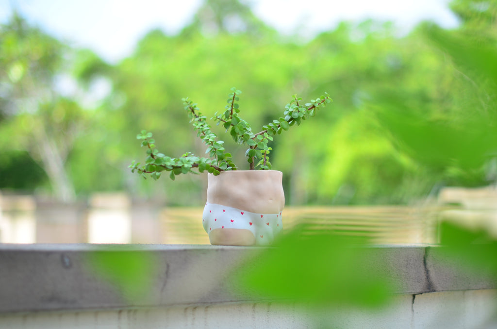 Group Partner plant pot singapore - Eat & Sip