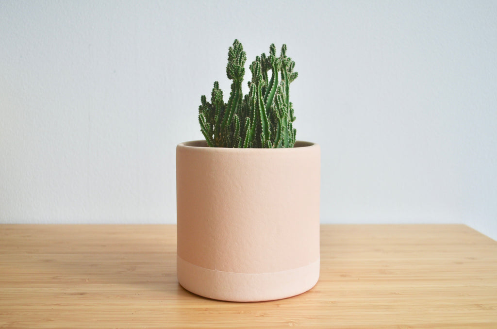Group Partner tanline planters in Singapore - Eat & Sip handmade ceramics