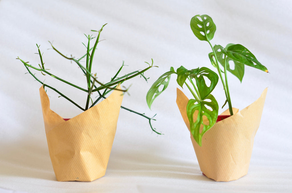 Group Partner Pots - Eat & sip Singapore
