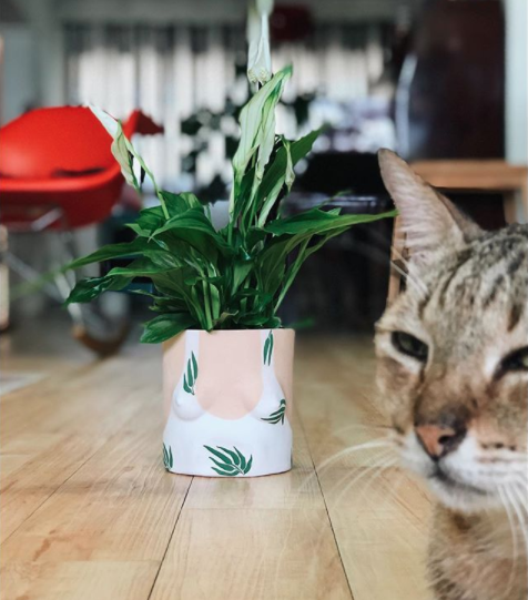 Group Partner leaves planters in Singapore - Eat & Sip