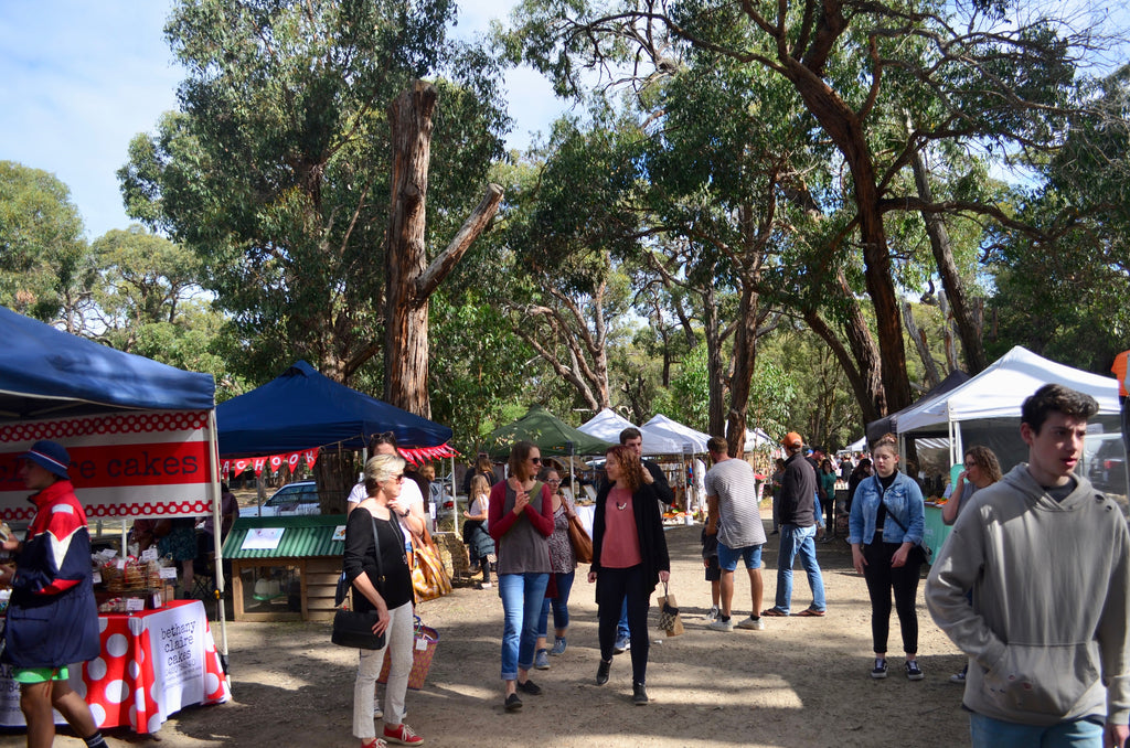 E&S field trip - The Emu Plains Market