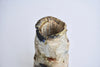 Handmade ceramic pottery Singapore - Clay Blossoms Eat & Sip