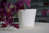 Hayden Youlley handcrafted pot Singapore - Eat & Sip