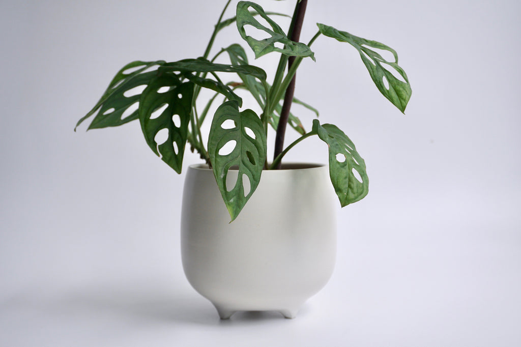 Handcrafted minimalist planter | Unique housewarming gifts Singapore Ceramics
