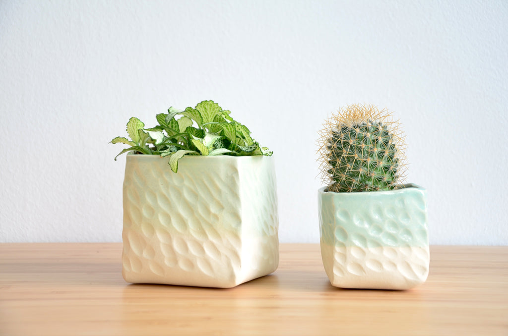 Handmade ceramic indoor planter | Eat & Sip pottery Singapore