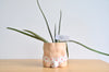 Group Partner Young Love boy planters in Singapore - handmade tableware