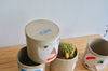 Group Partner Rory planters in Singapore - handmade pot