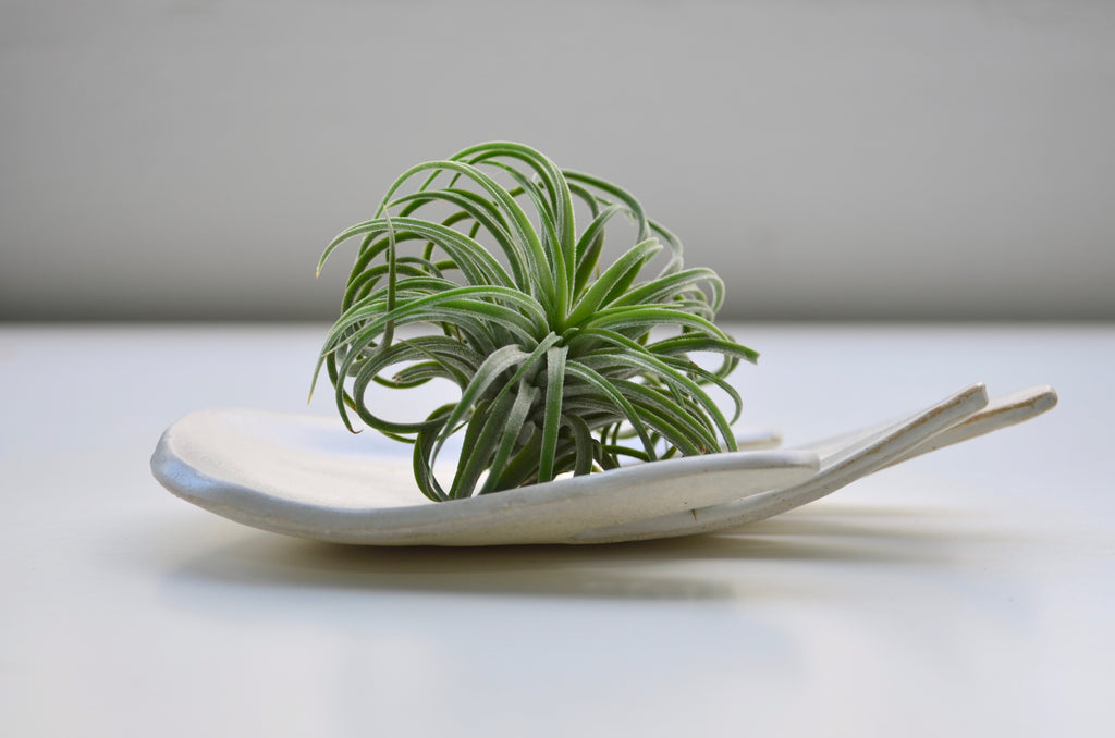 Hellorat project handmade ceramics Singapore | Eat & Sip tableware