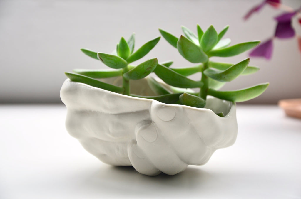 Handcrafted porcelain planter | Eat & Sip ceramic tableware