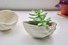 Handcrafted porcelain planter | Eat & Sip Singapore ceramics