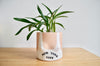 Group Partner New York Top pot | Handmade planter Singapore
