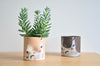 Group Partner confetti planters in Singapore - Eat & Sip handmade tableware
