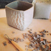 Handmade ceramic indoor planter by Rossella Manzini| Eat & Sip pottery Singapore